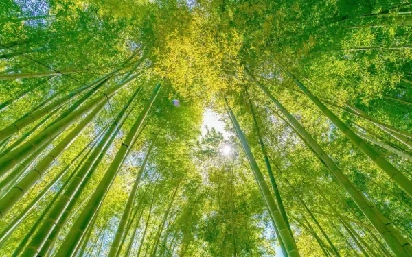 ✨出勤しました✨