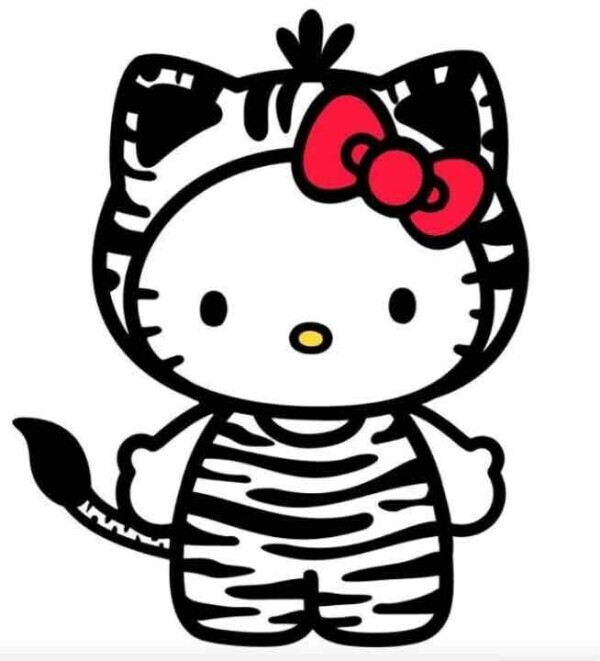 Hello*°