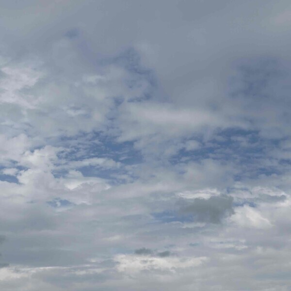 Sky*°