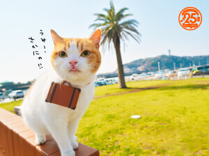 こんにちは