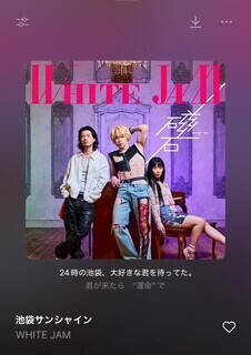 おはよ🐶🔆