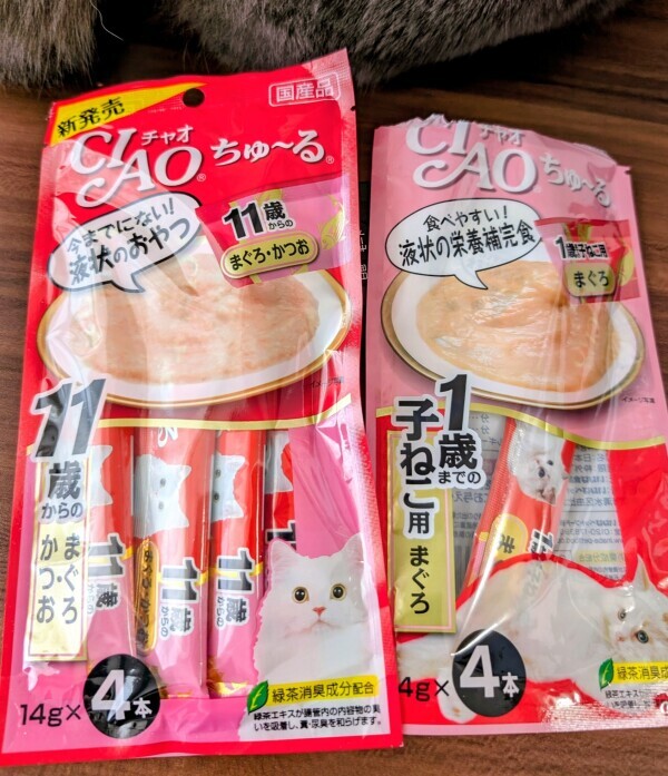 出勤です