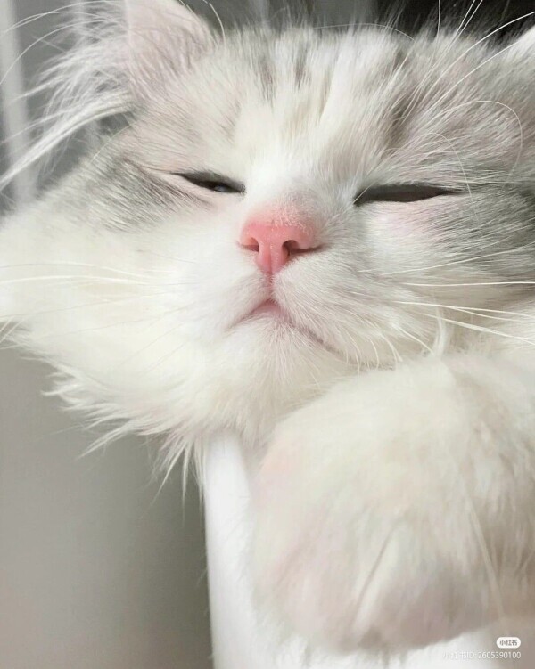 ✨おはようございます✨