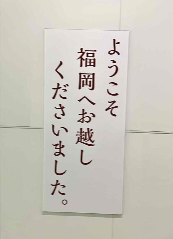 ✈️✈️