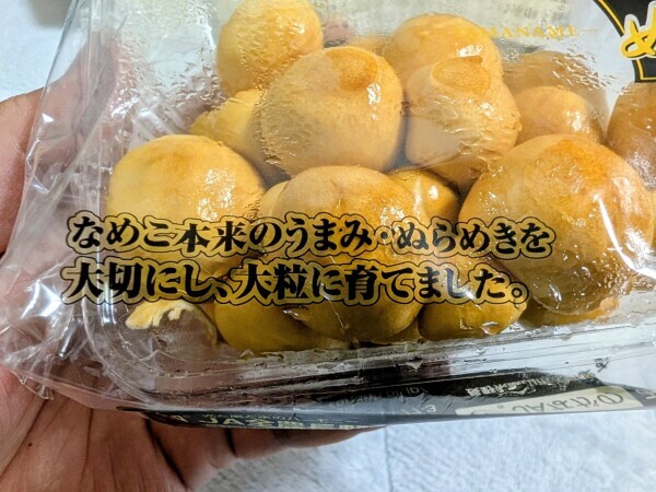 ぬらめき