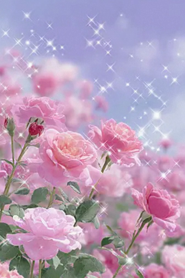 バラ園行きたい🌹✨