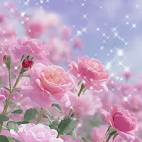 バラ園行きたい🌹✨