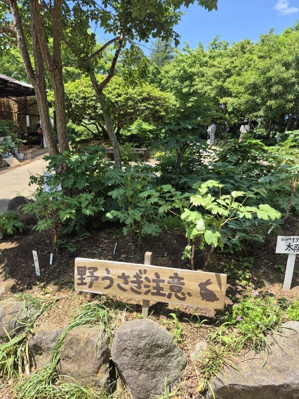 ✨🪷お昼から出勤します🪷✨