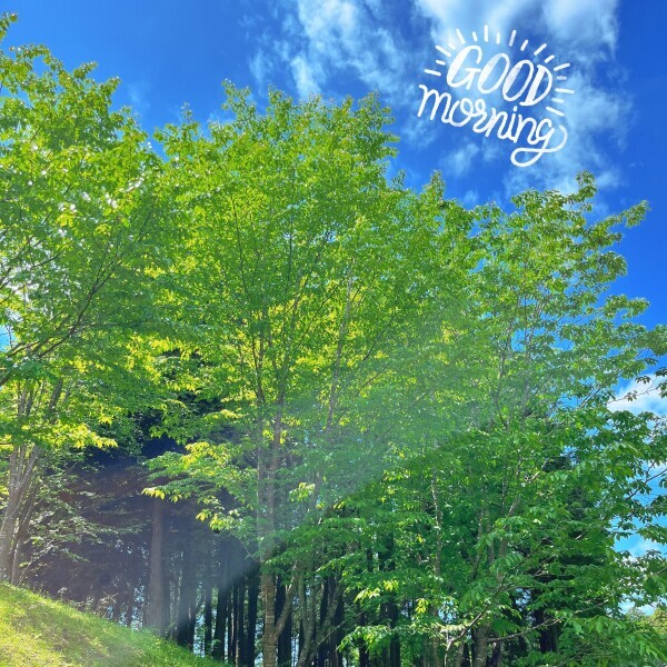 ☀️おはよう☀️