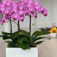 戸郷