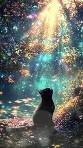 ✨本日もありがとうございました✨