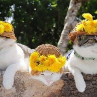 ✨おはようございます✨