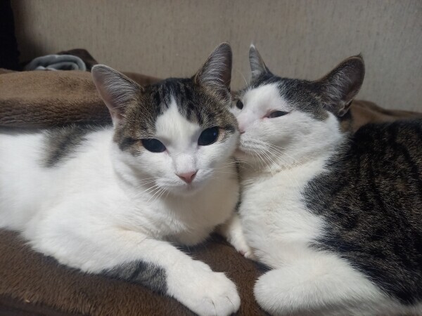 お休み2日目😹