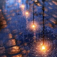 雨
