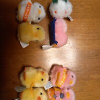 ぴよりーな🐥