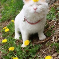 ✨出勤しました✨