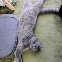 出勤です！