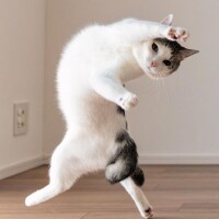 パワフルㄟ( ･ө･ )ㄏ