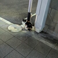 ありがとうございました☕️‪