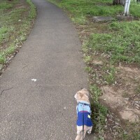 土曜オヤツ前から出勤です🤗