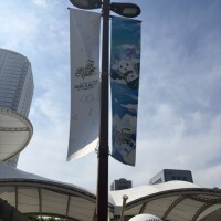 先日