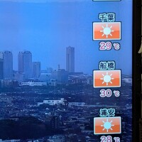 今夜はこれ♪