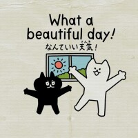 おはようございます！