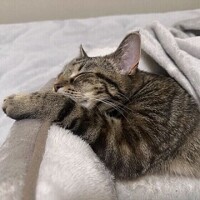 ✨おはようございます✨