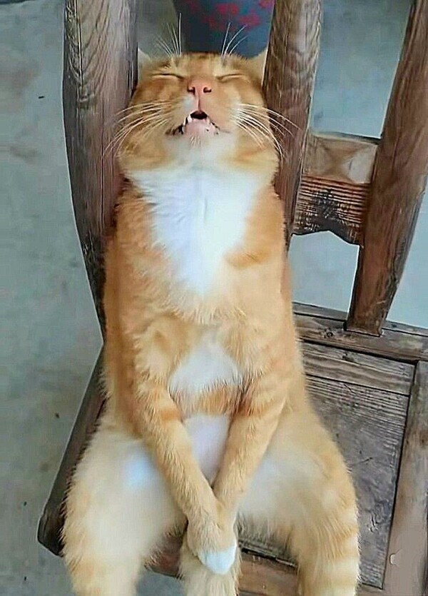 お休み1日目😸