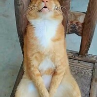 お休み1日目😸