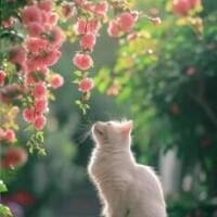 ✨おはようございます✨