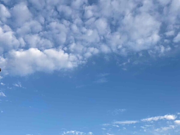 𝗚𝗼𝗼𝗱 𝗺𝗼𝗿𝗻𝗶𝗻𝗴 ☀︎*.｡