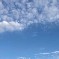 𝗚𝗼𝗼𝗱 𝗺𝗼𝗿𝗻𝗶𝗻𝗴 ☀︎*.｡