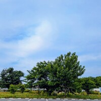 おはようございます！
