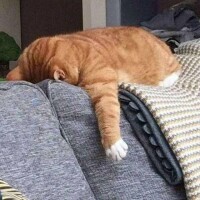 お休み2日目😾