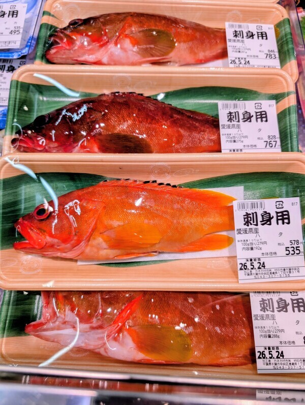 出勤です