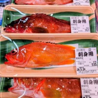 出勤です