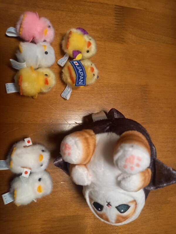 ぴよりーな🐥&モフサンド😹