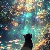 ✨本日もありがとうございました✨
