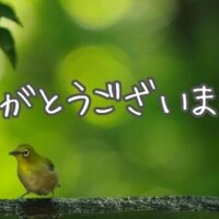 感謝の気持ち