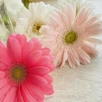 ありがとうございました♥️