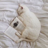 ありがとうございました✨