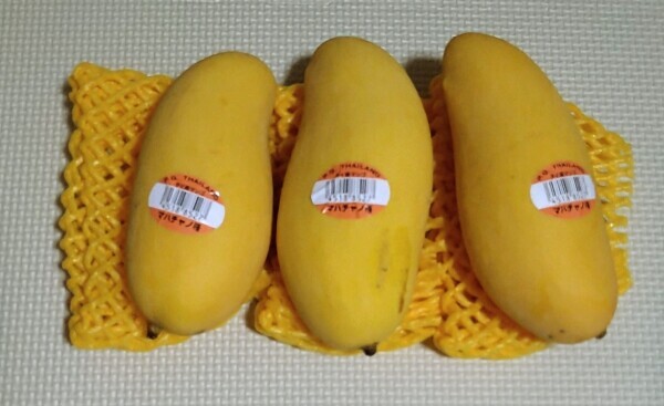追熟中🥭✨