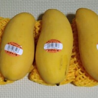 追熟中🥭✨