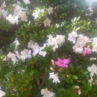 お休み1日目☀️