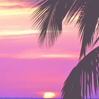 三浦