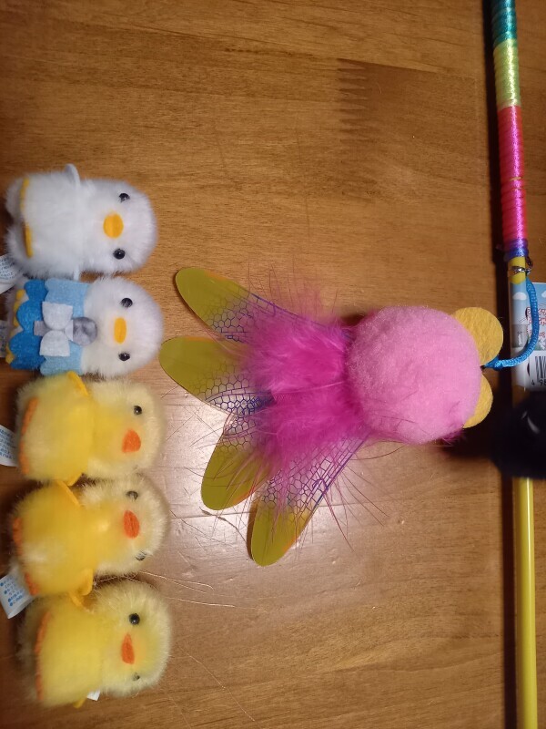 🐥ぴよりーな🐥
