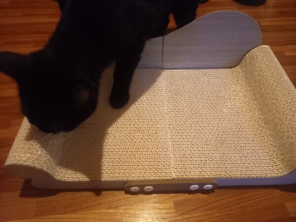 できた～😸