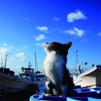 ✨おはようございます✨