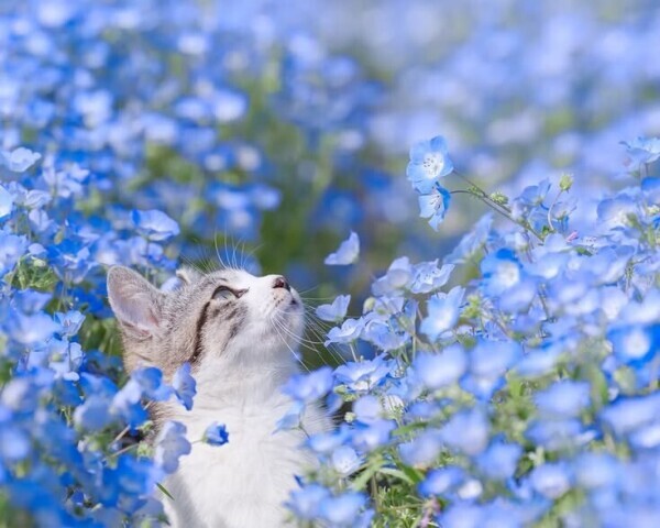 むかいます🌥️